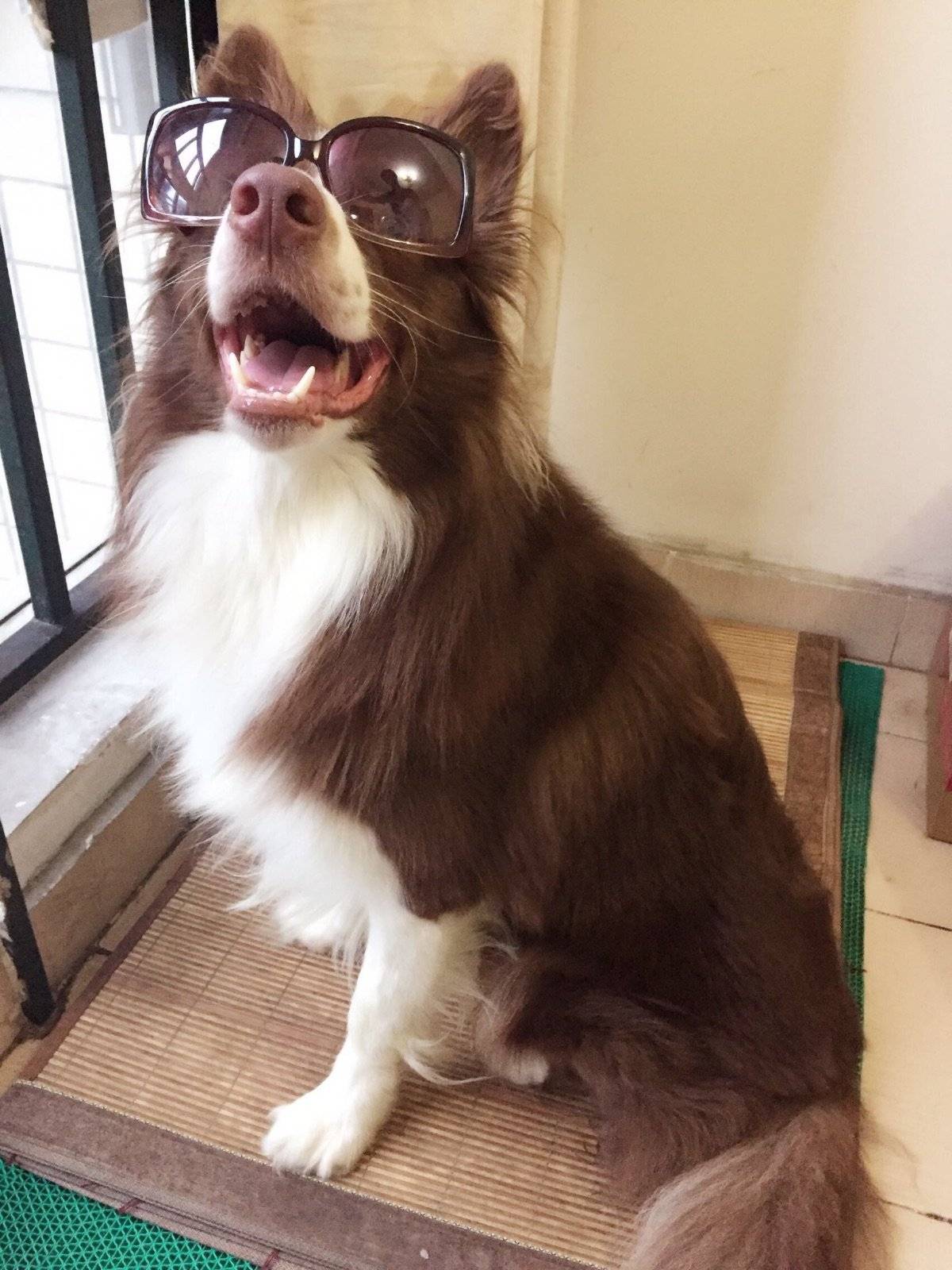 走,跟着大哥混有饭吃