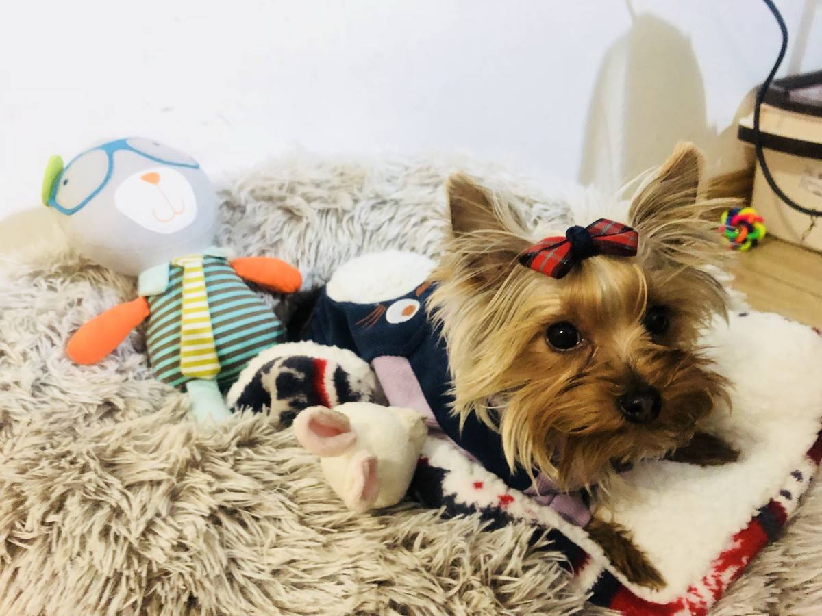 萌萌哒偶回来啦……么么哒~小兔子