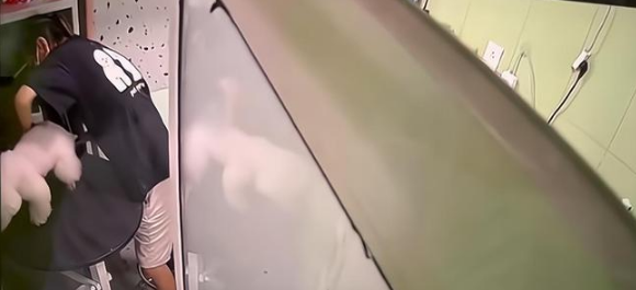 嫌店员给狗洗澡不够温柔,情侣拖拽踢打店员