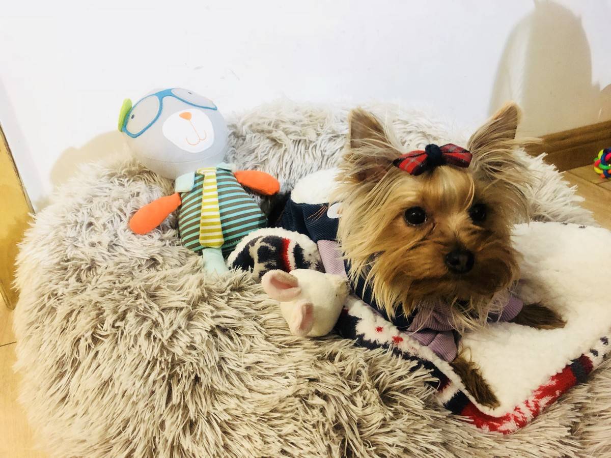 萌萌哒偶回来啦……么么哒~小兔子