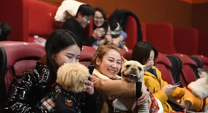 为拉流伦敦电影院“讨好”宠物，狗狗可免票陪主人看电影