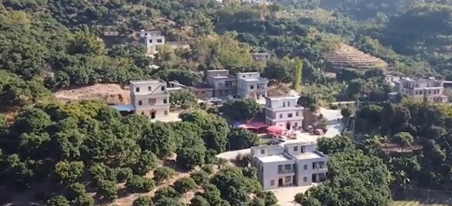 广东老太在山上捡了只小野猫养,养大后人懵了