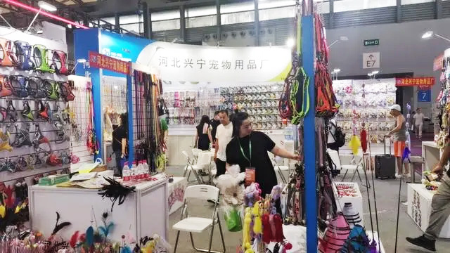 河北宠物展团全产业链携手亮相第25届亚洲宠物展