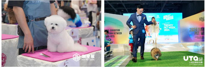 2024 广州国际潮宠展六大升级焕新,重新定义展会新标准!