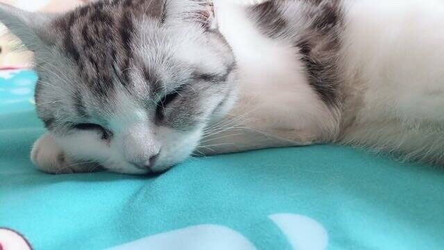 洗完澡以后可爱的小宝宝