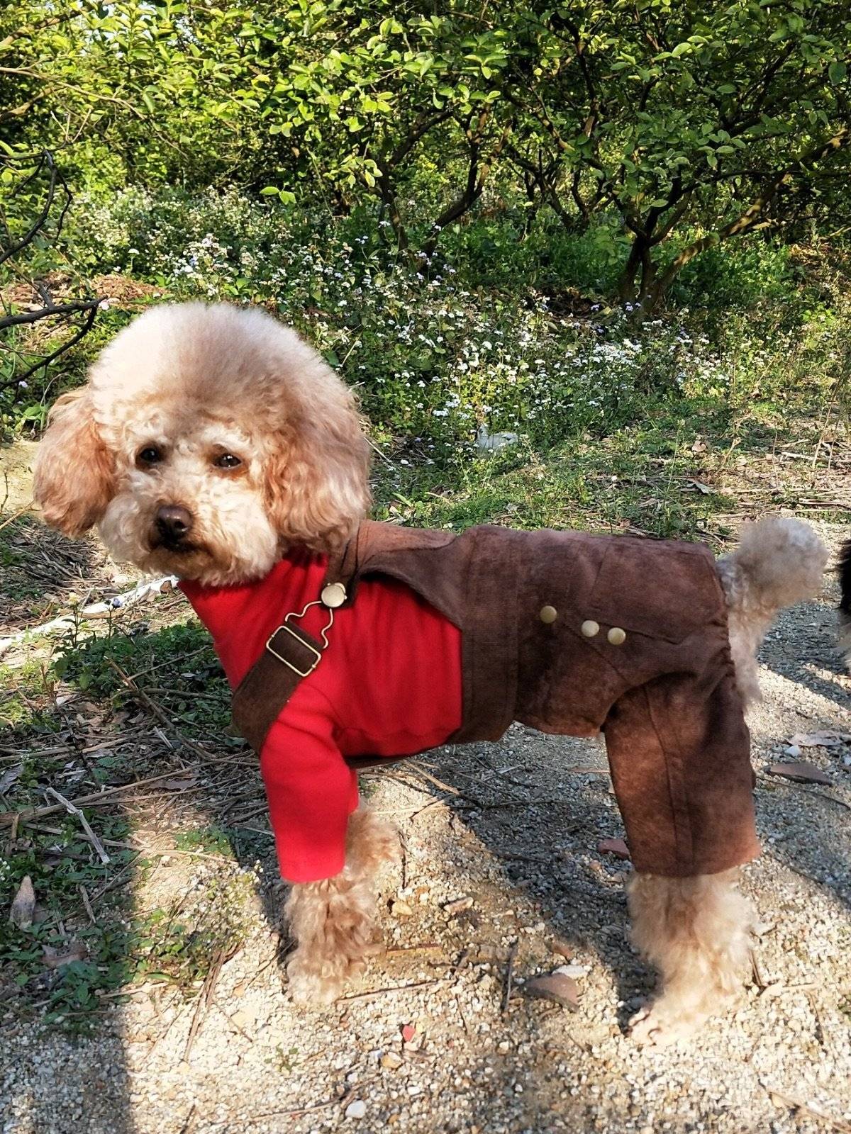 面向阳光，心情飞扬~