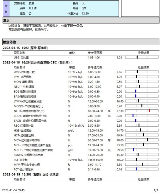 一例犬睾丸肿瘤的诊断与治疗