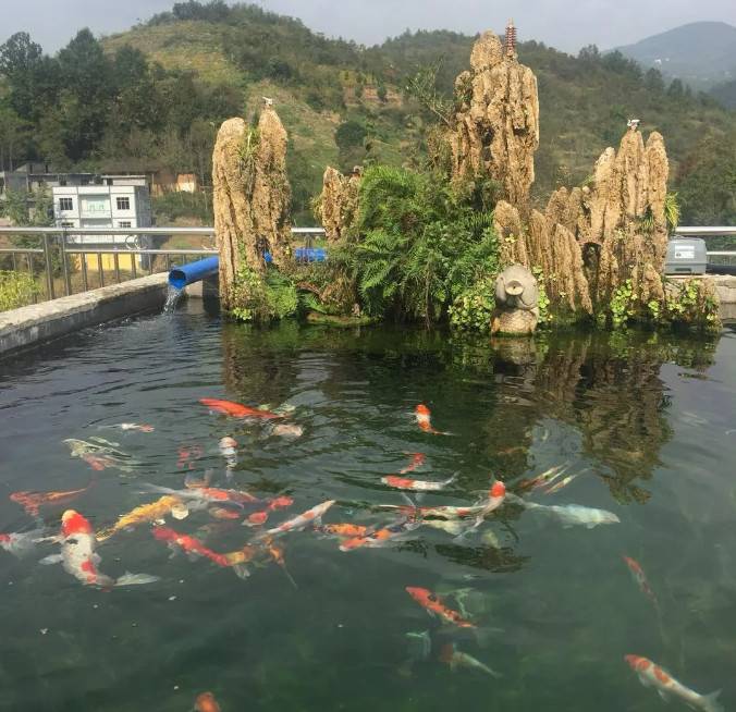 如果可以,退休后,我也想在大山里,盖一栋自己喜欢的房子,没有城市的拥挤和喧嚣,只有山中的鸟叫与虫鸣,伴着蓝天白云和清新空气;在院子里养养鱼种种菜,安详度日、回味人生。