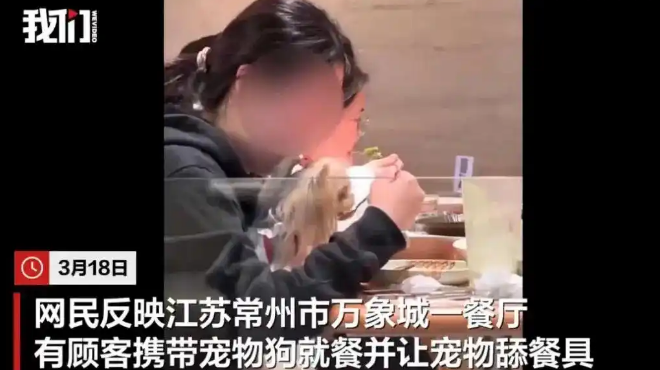 被曝“公筷喂狗”，西贝最新回应