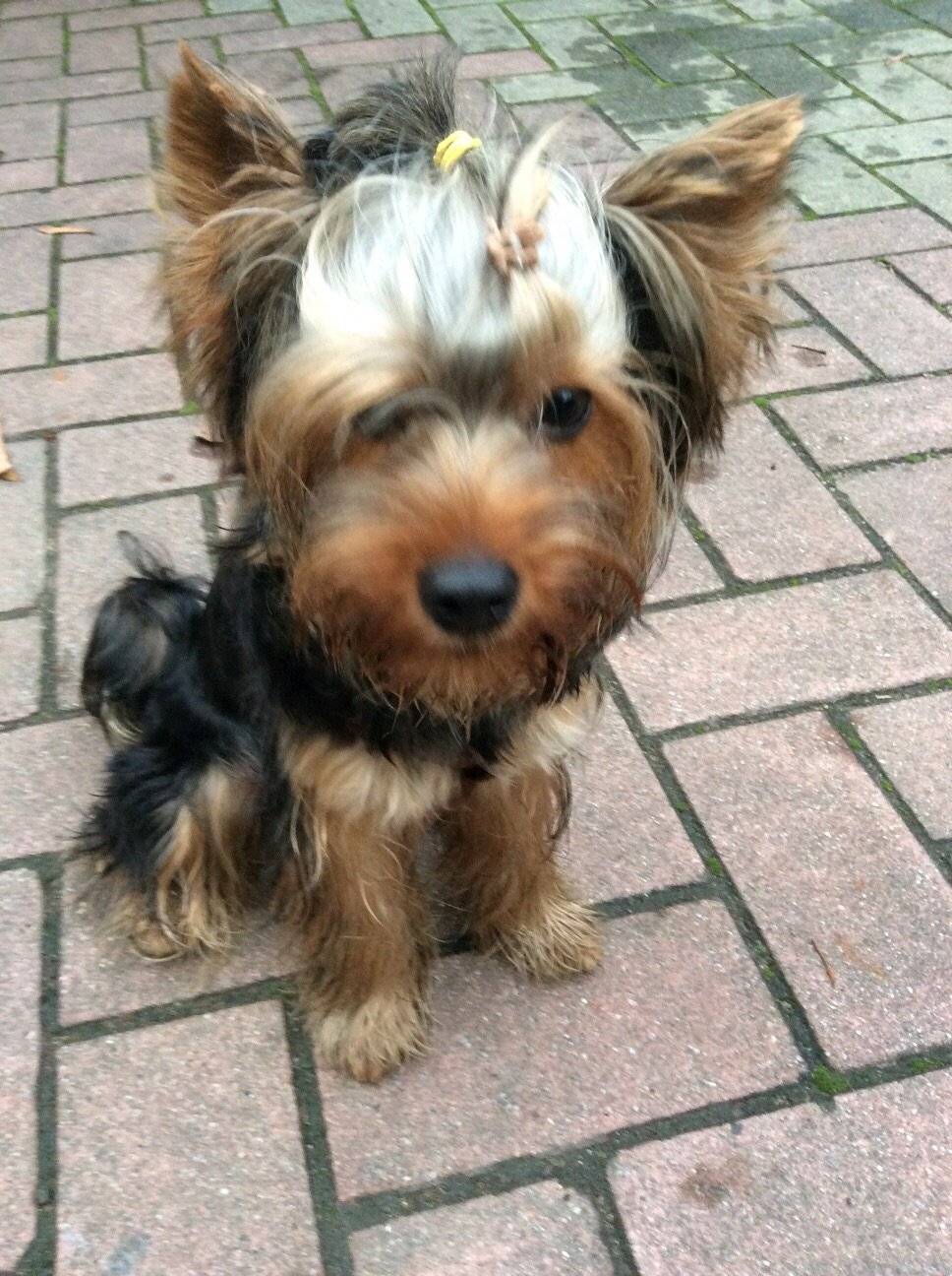 盘点了探探的坐姿~照片告诉你时光匆匆...