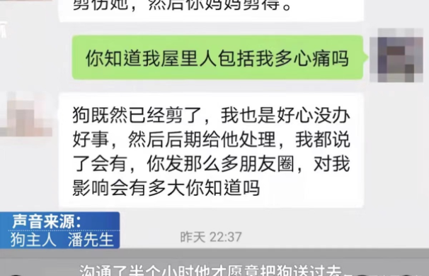 一男子将自家的萨摩耶送去宠物店洗澡,不料......