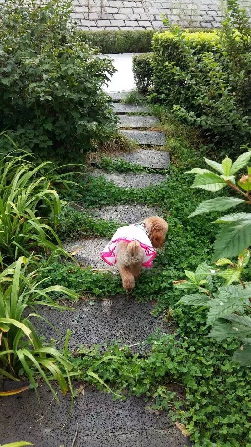 艾米两岁时从西安飞长春做了一次长途旅行... 在吉林姥姥家几个月的时间里每天都开心的出去嗨,玩的累了,到家吃了倒头就睡。