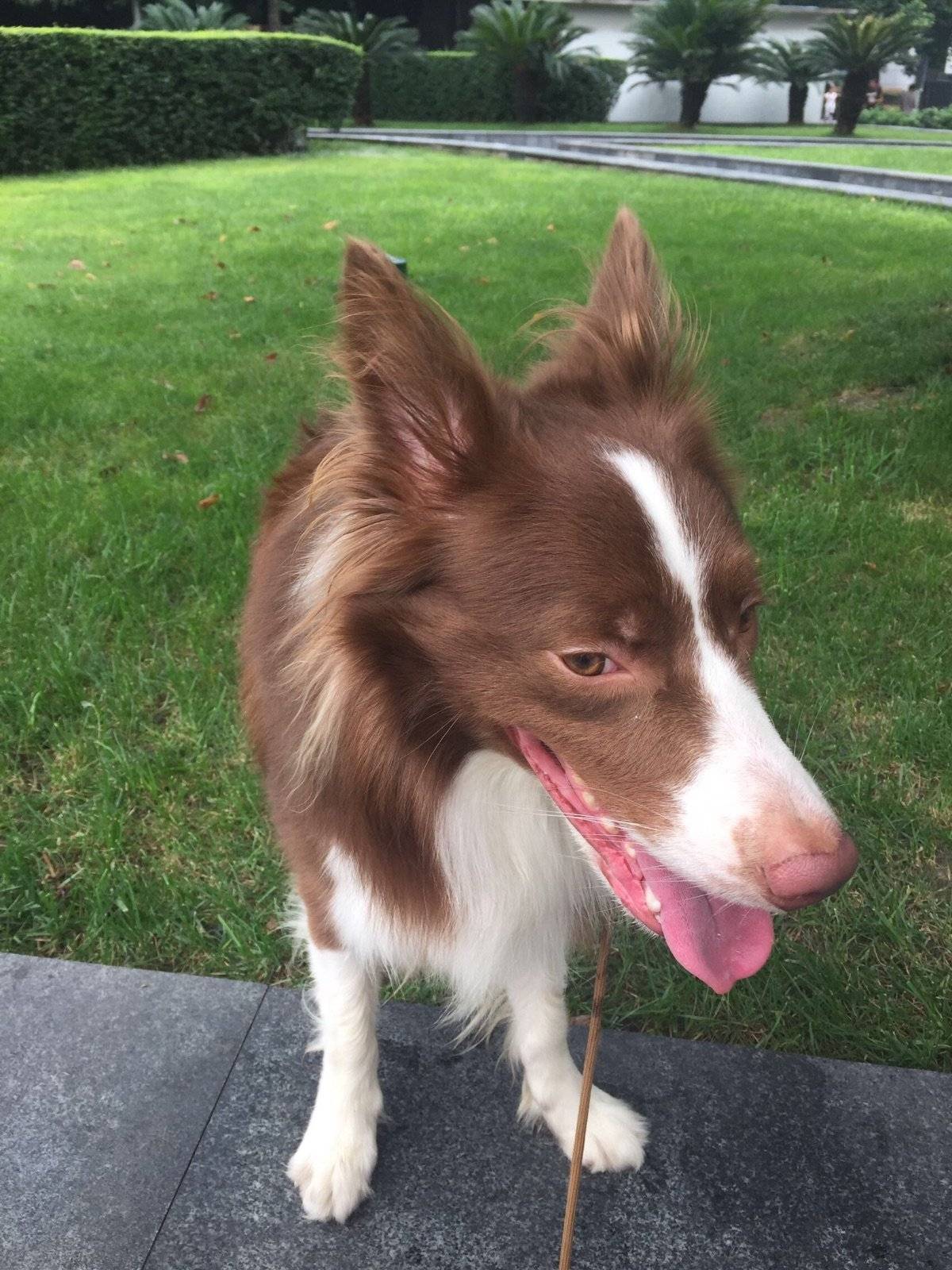 哎呀！看你这是最后一次了，算了，带你在淘气一次[可爱][可爱]