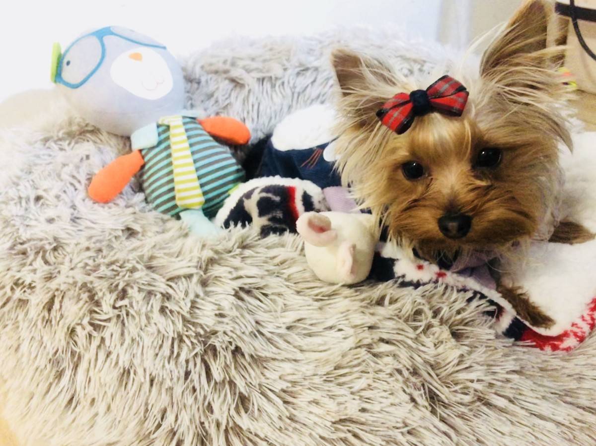 萌萌哒偶回来啦……么么哒~小兔子