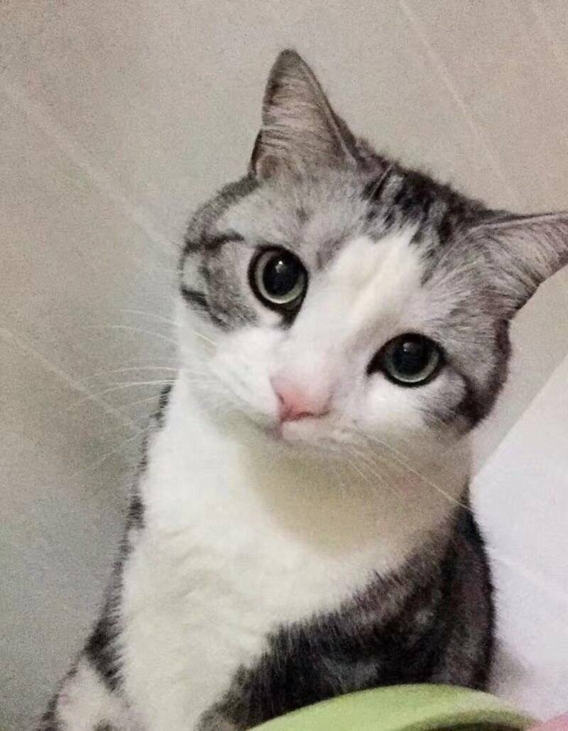 虽然我无聊 但是它膨胀啊/笑哭