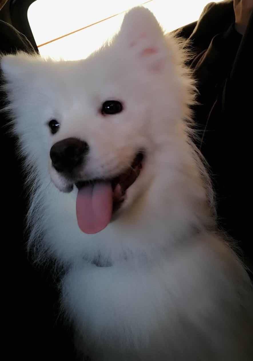 秀几张我儿子照片