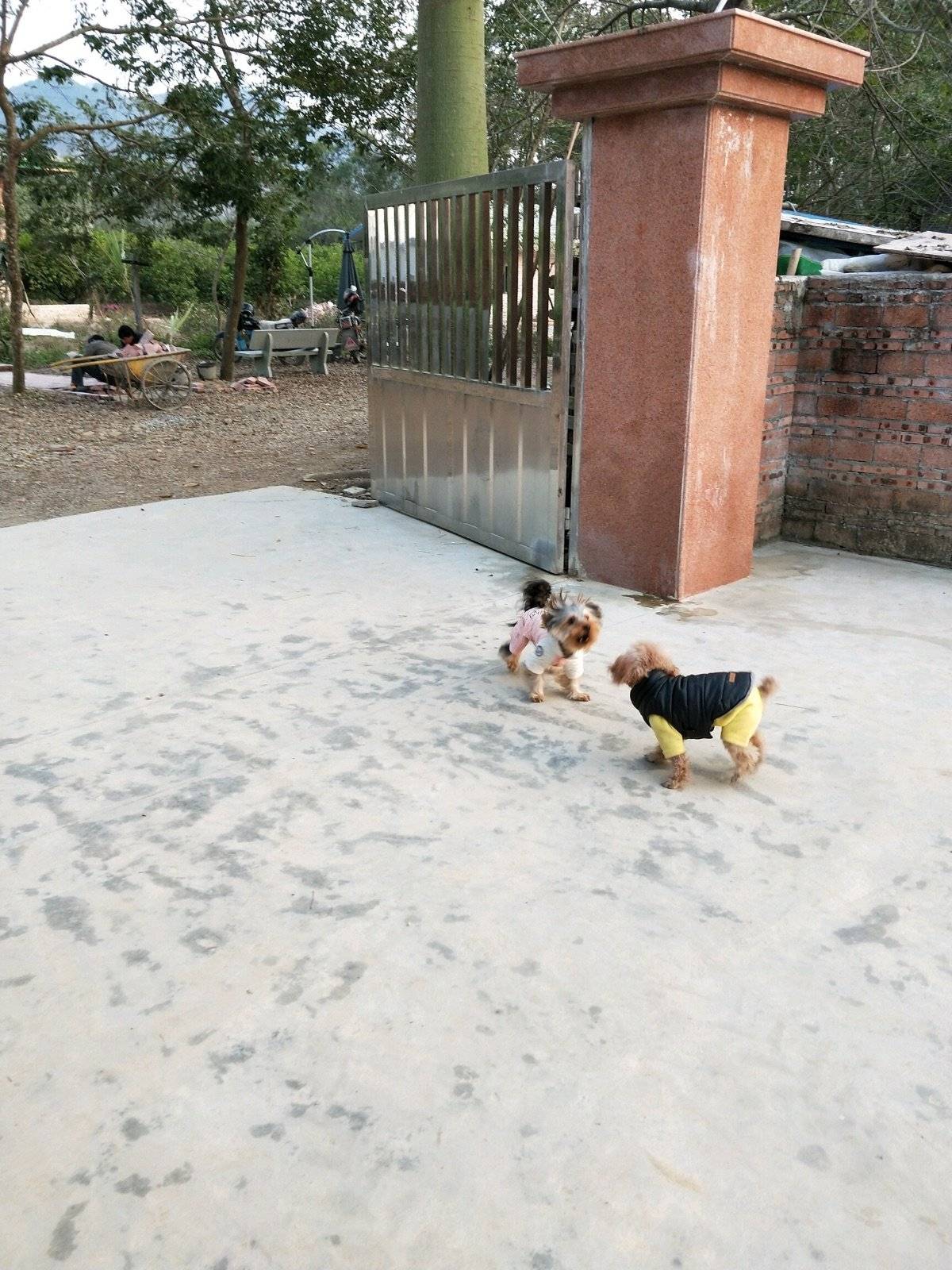 周末了，夕阳西下以前不陪你们疯狂一下怎么行