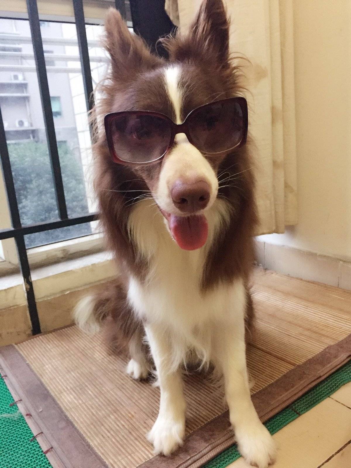 走,跟着大哥混有饭吃