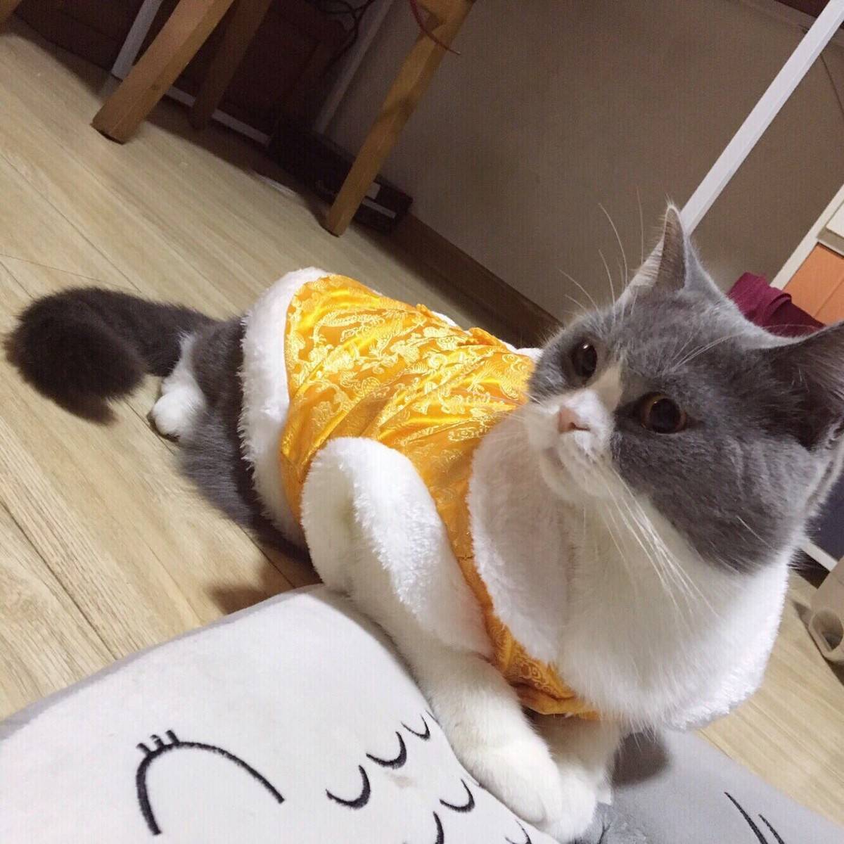 哀家乏了，尔等跪安吧。 容嬷嬷，送客。