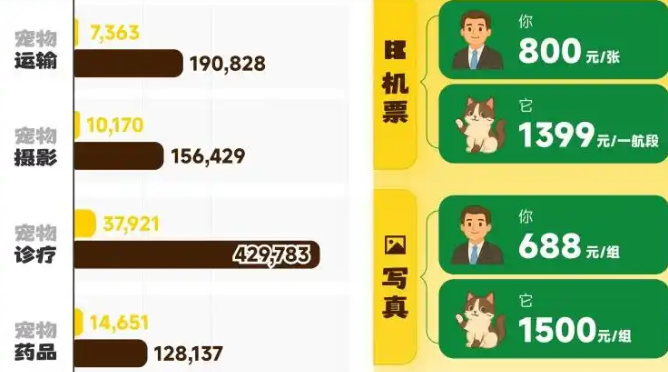 宠物写真上千元,比人贵一倍,谁在为情感“氪金”?