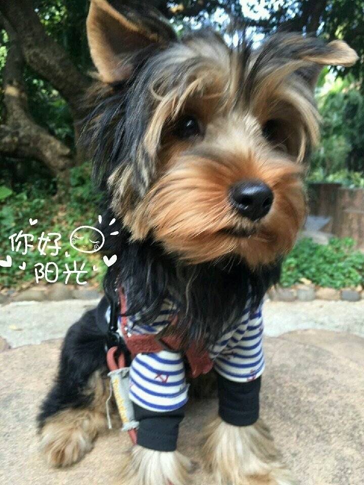 盘点了探探的坐姿~照片告诉你时光匆匆...