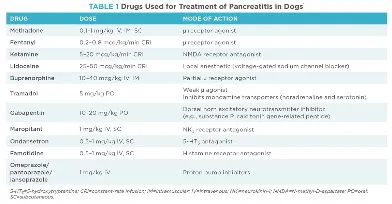 犬急性胰腺炎治疗秘籍：镇痛、营养与液体疗法的综合应用