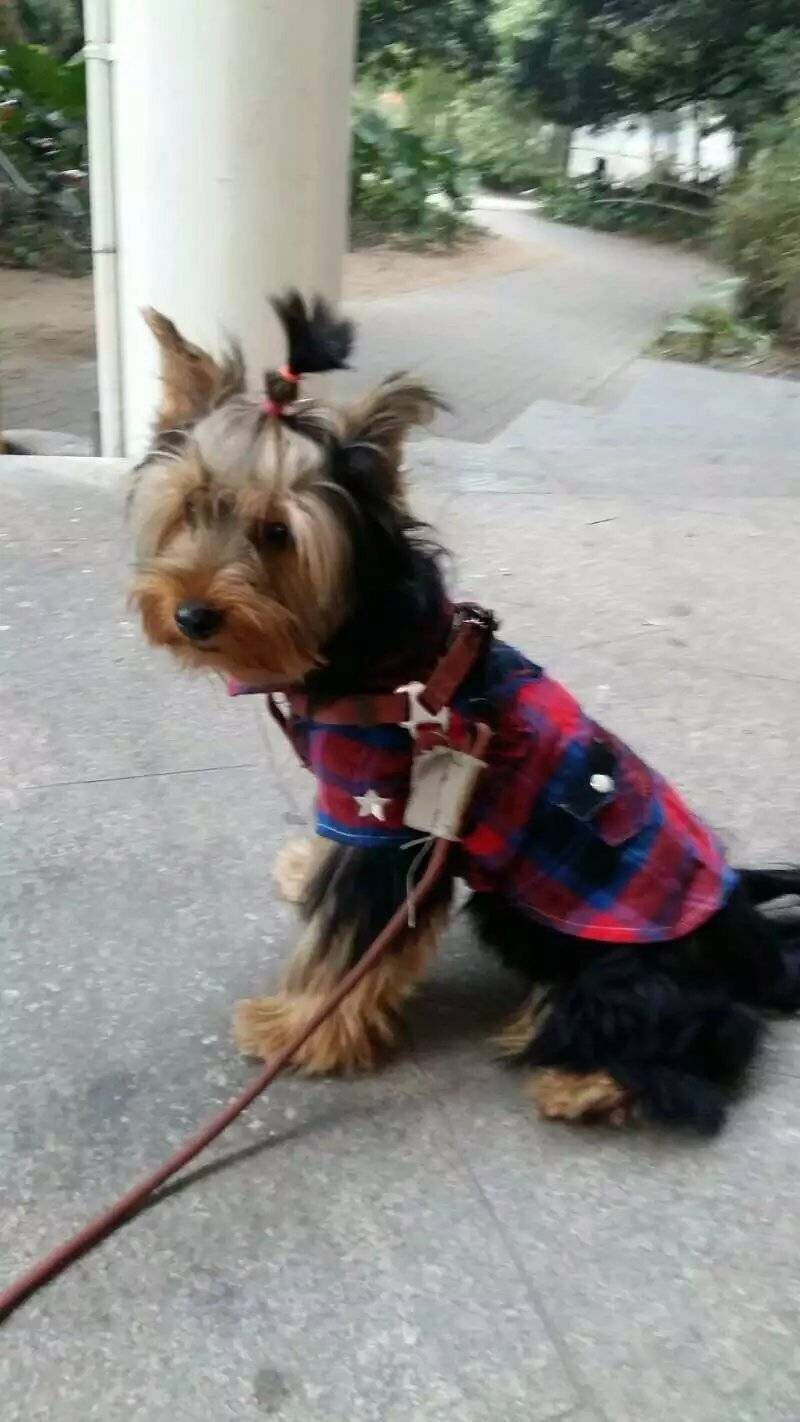 盘点了探探的坐姿~照片告诉你时光匆匆...