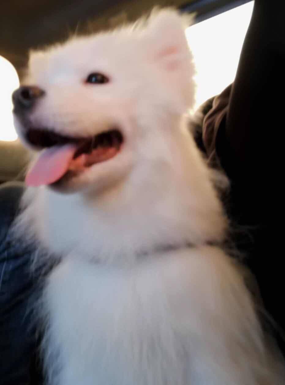 秀几张我儿子照片