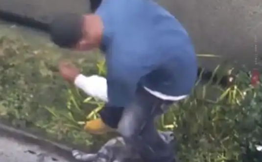 全国首例虐猫刑案！男子虐杀20余只猫，网友：判得好