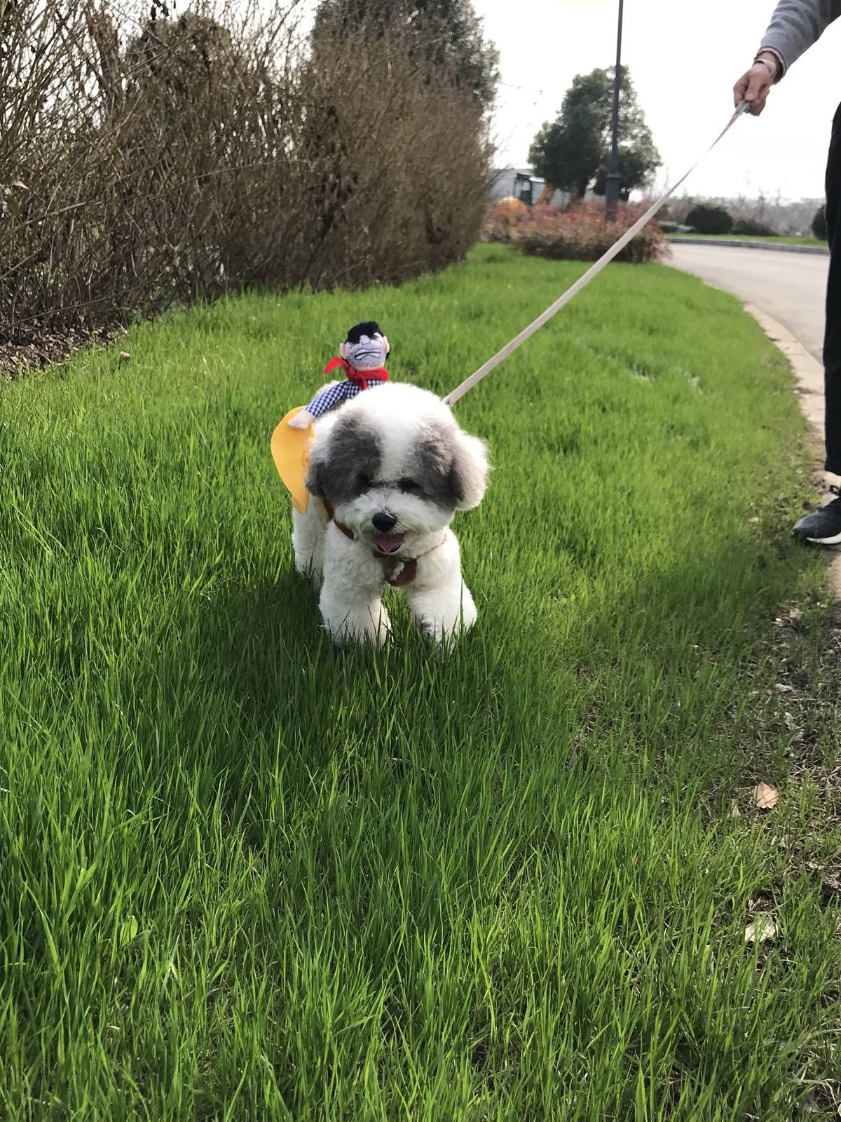 天气好好 踏踏青