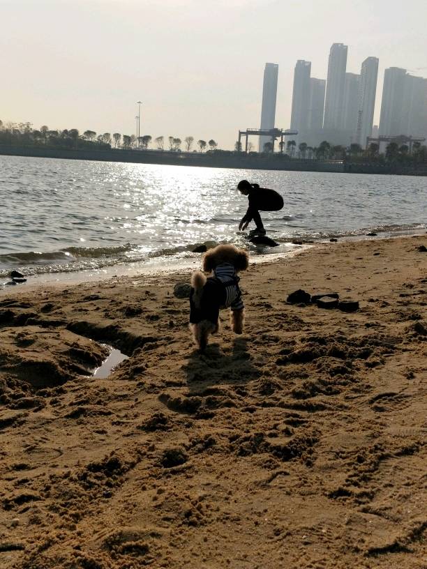 背影也能看出宝贝的心情好好[嘻嘻]家人陪伴的旅行才能这般任性[亲亲]