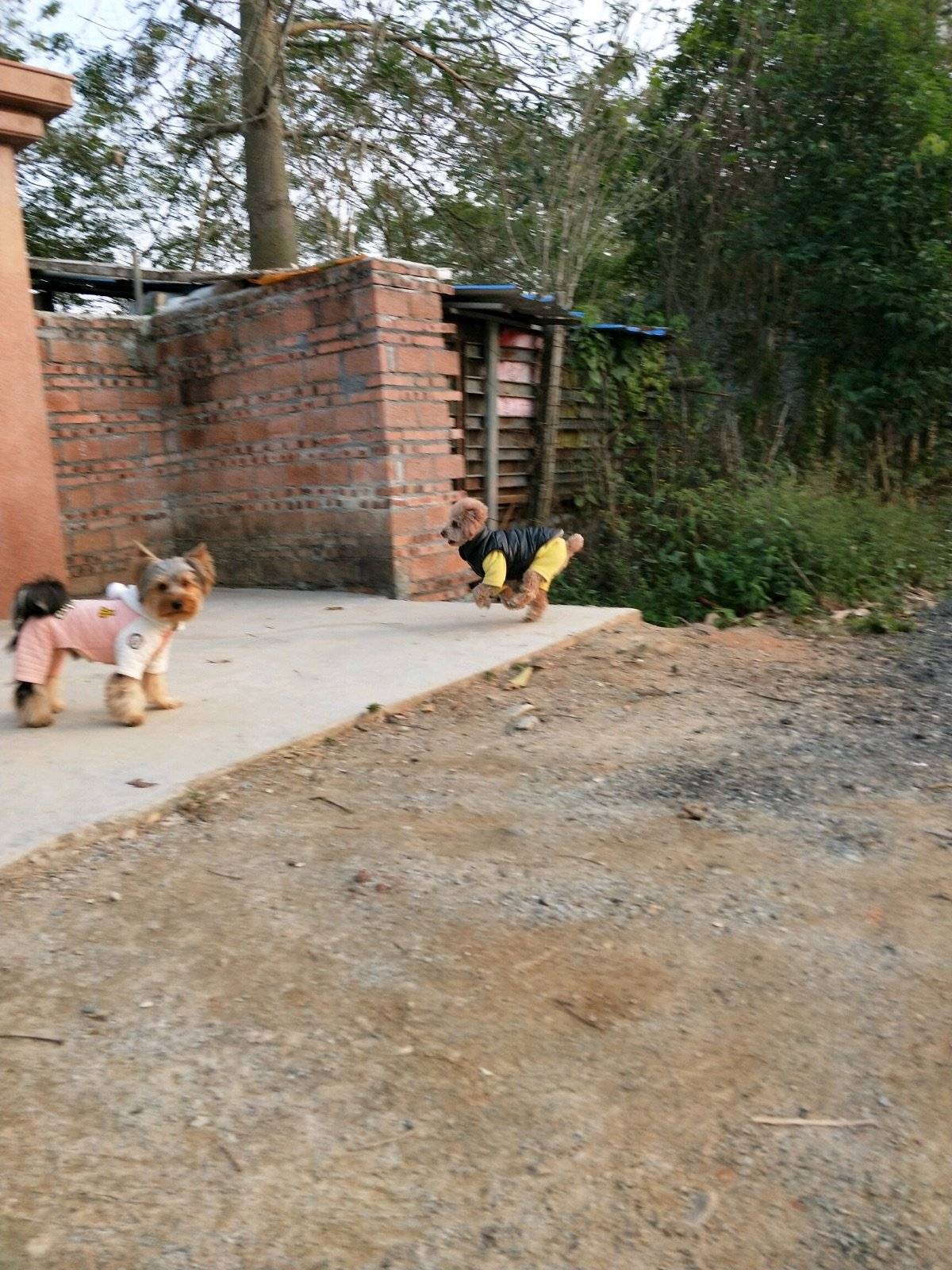 周末了，夕阳西下以前不陪你们疯狂一下怎么行