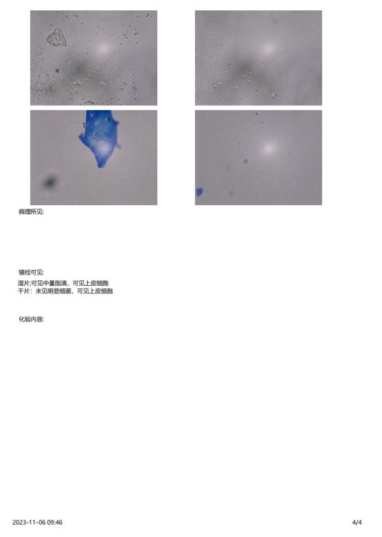 一例犬睾丸肿瘤的诊断与治疗