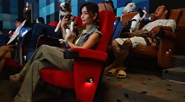 为拉流伦敦电影院“讨好”宠物，狗狗可免票陪主人看电影