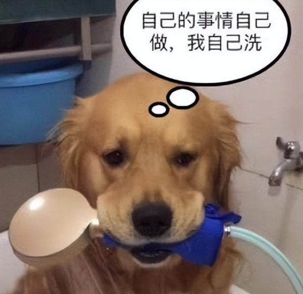 金毛给自己放水洗澡,洗到一半意外发生了,铲屎官笑得直跺脚