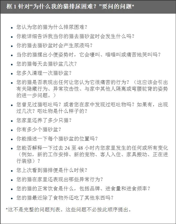 为什么我的猫排尿困难？解密 FLUTD 及其症状