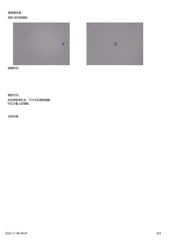 一例犬睾丸肿瘤的诊断与治疗