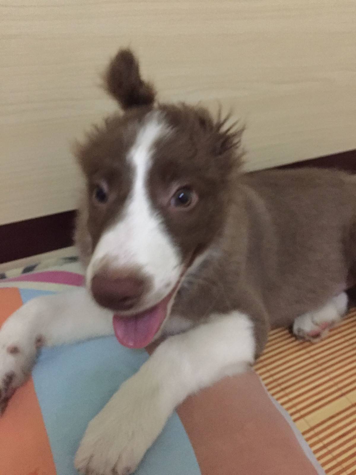 麻,你这是要干嘛,一帅小伙儿被你弄成这样