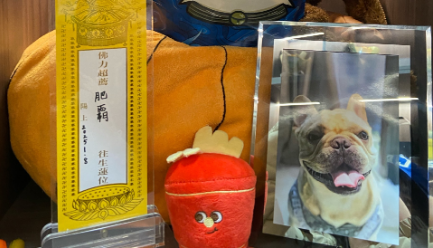 宠物殡葬“无证经营”成常态，监管仍存哪些灰色地带？