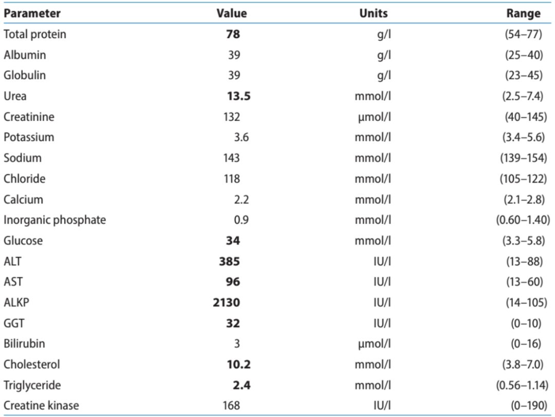 11 岁公犬的糖尿病酮症酸中毒病例分析