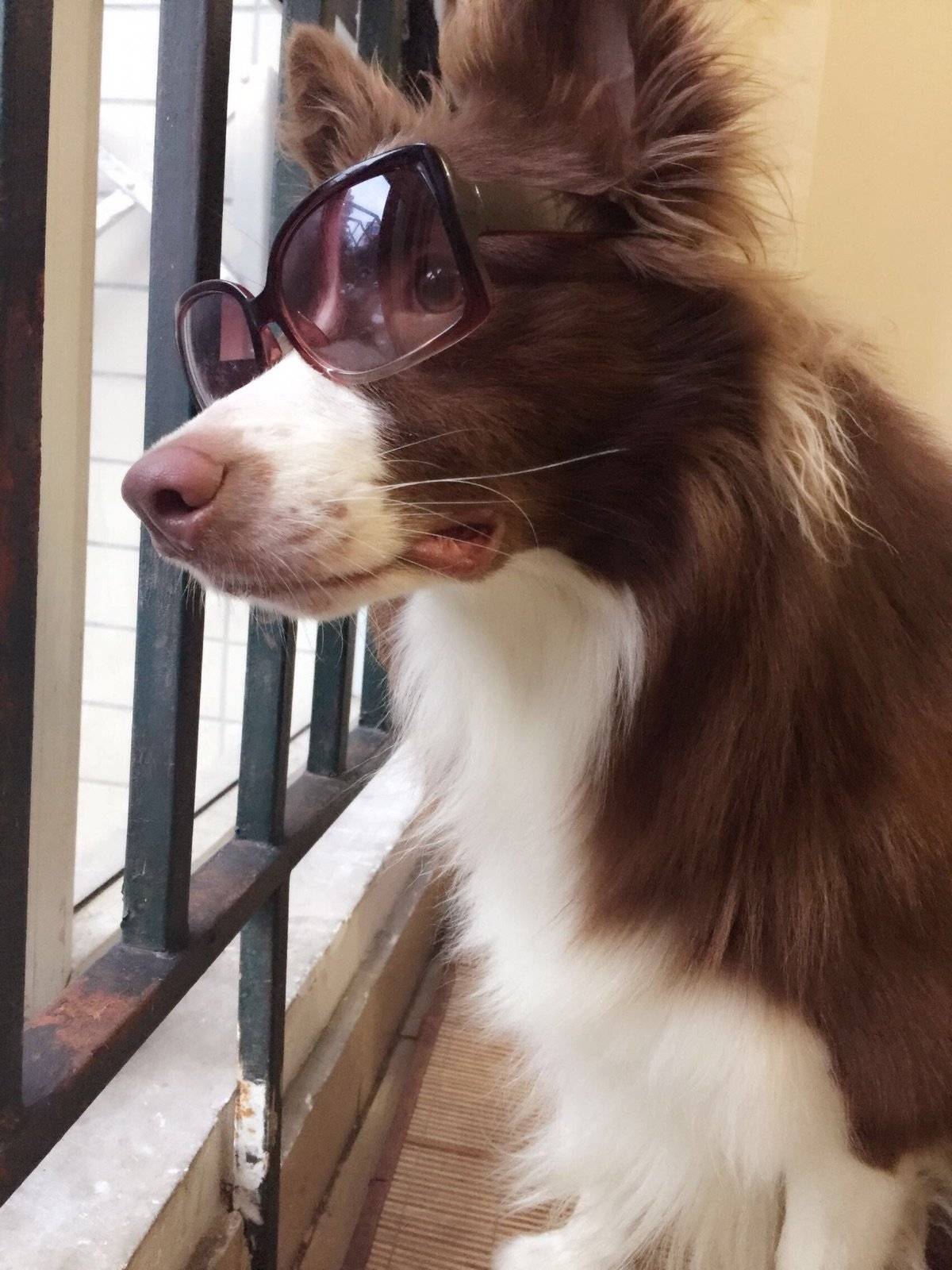 走,跟着大哥混有饭吃