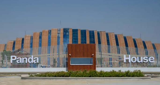 以色列袭击卡塔尔，中国网友急了：我们的两只大熊猫怎么样了？