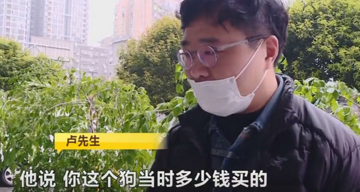 长沙一宠物医院给法斗犬洗澡,高温烘干致死,负责人:赔一两千了事