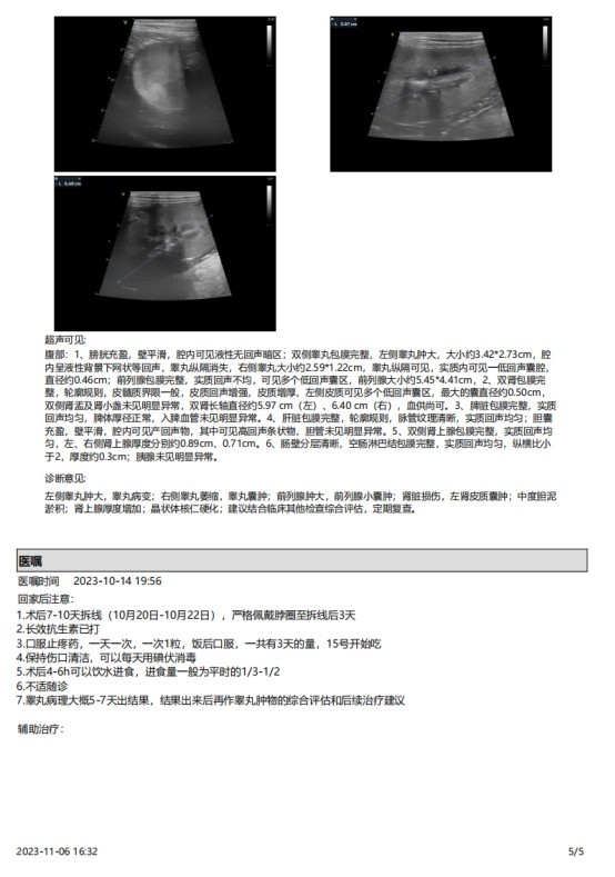 一例犬睾丸肿瘤的诊断与治疗