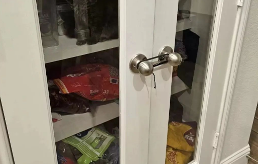 零食柜门明明被牢牢拴住,猫咪却能偷吃成功,到底是怎么做到的?