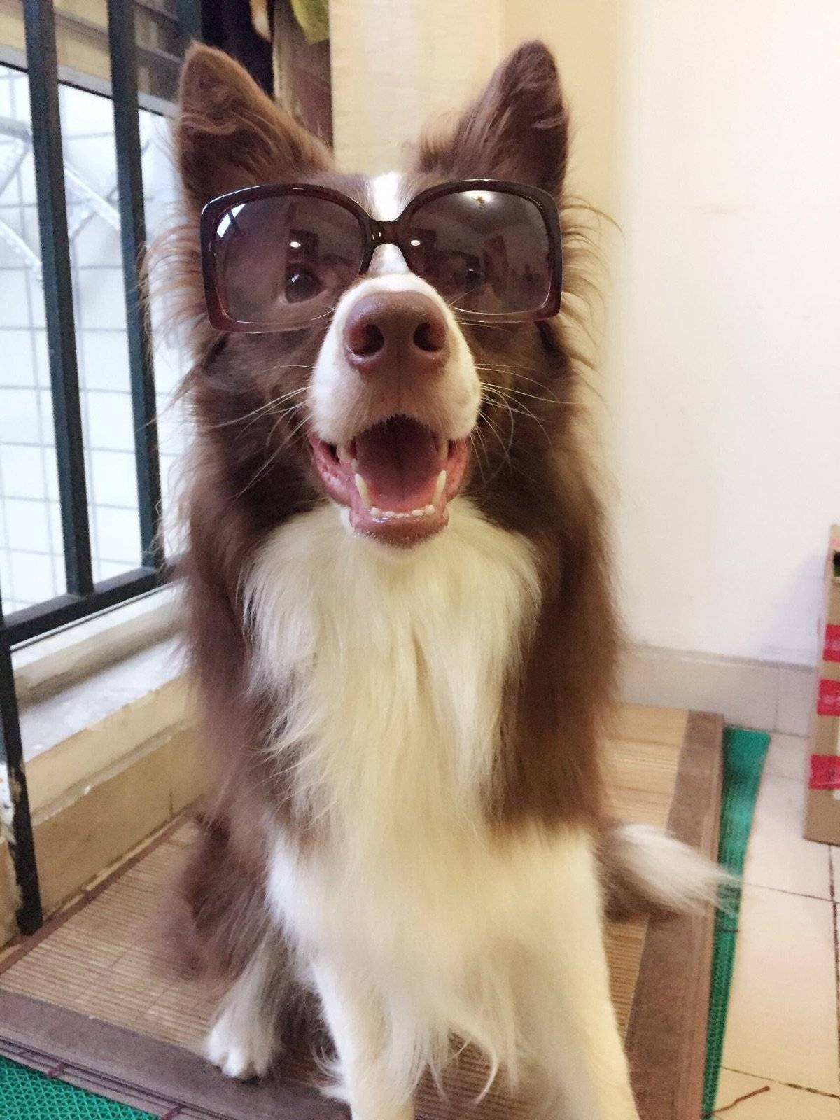 走,跟着大哥混有饭吃