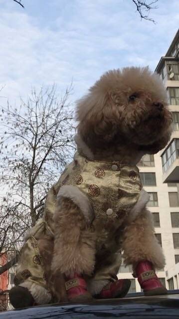 今天的风,怡人,今天的阳光,暖人~今天是惊蛰,春回大地,万物萌动。春回大地!是爱,是暖,是希望