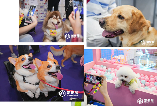 为品牌力提速！潮宠展发布2024年度战略！