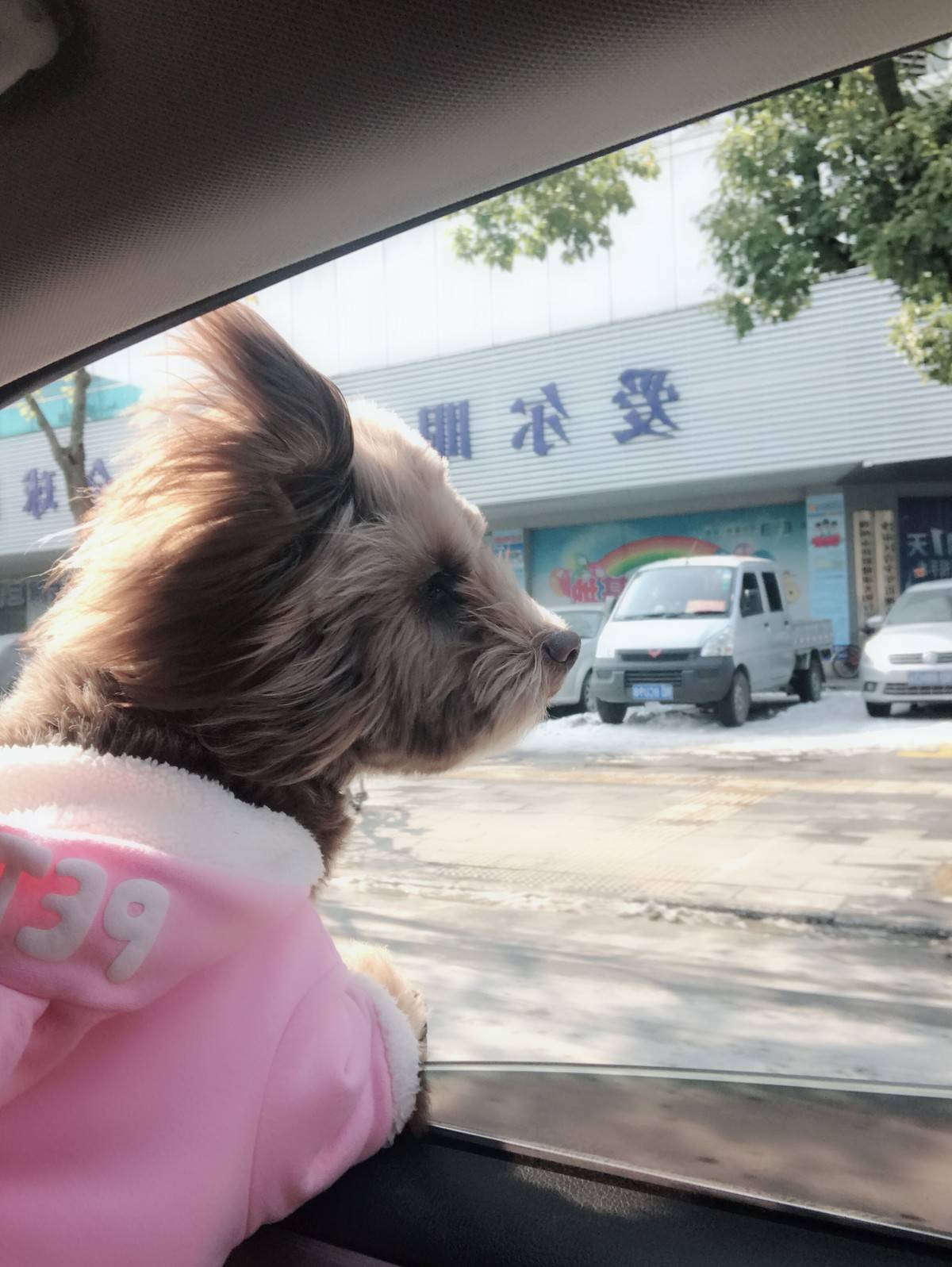 开 !往城市边缘开 把车窗都摇下来 用速度换一点痛快孤单 被热闹的夜赶出来却无从告白 是你留给我的悲哀哦 ~