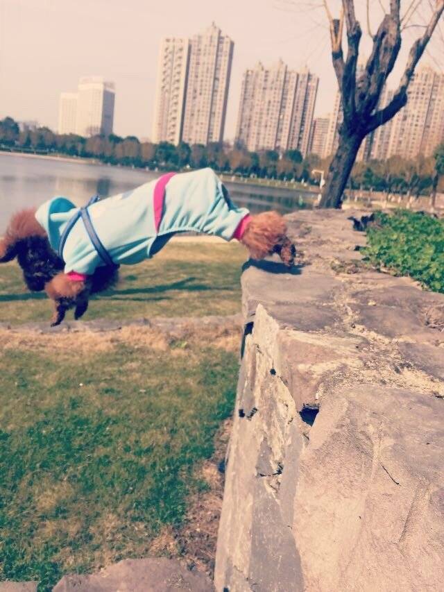飞跑得像只兔子,自由自在的飞奔在草地上,多开心呀!伙伴们也一起来吧,运动起来身体健康哦!